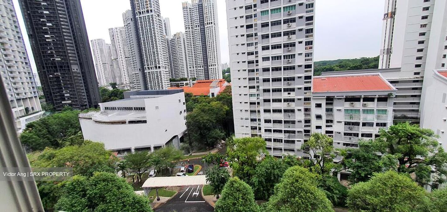 Blk 48 Forfar Heights (Queenstown), HDB 4 Rooms #523257021
